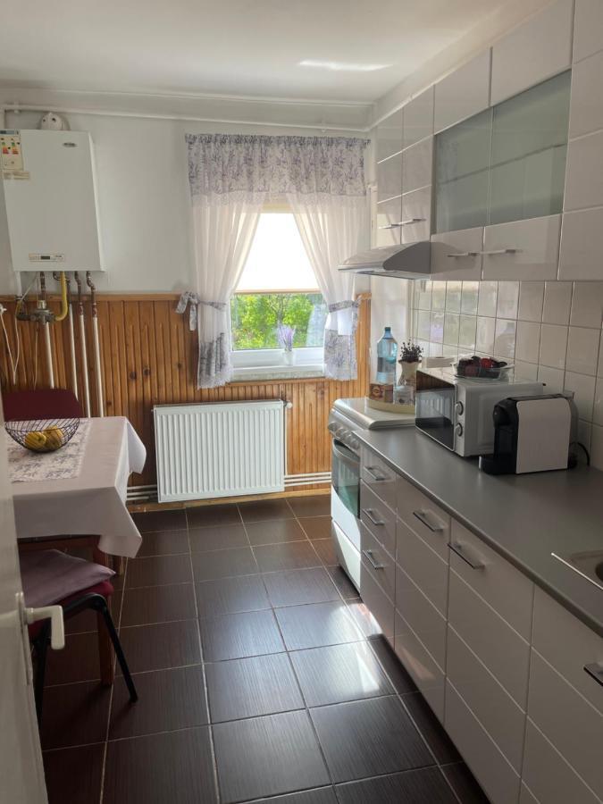 L&D Apartament Apartment Sibiu Exterior photo